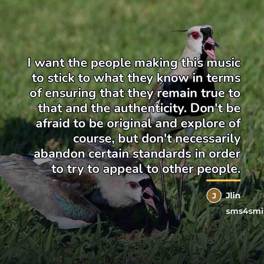 “I want the people making this music to stick to…” quote by Jlin