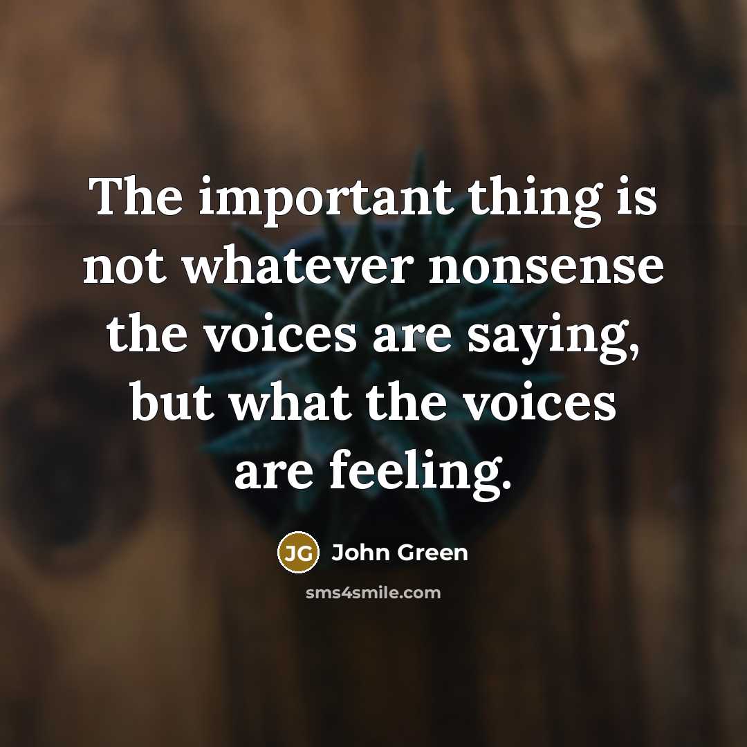 “The important thing is not whatever nonsense the voices are…” quote by John Green