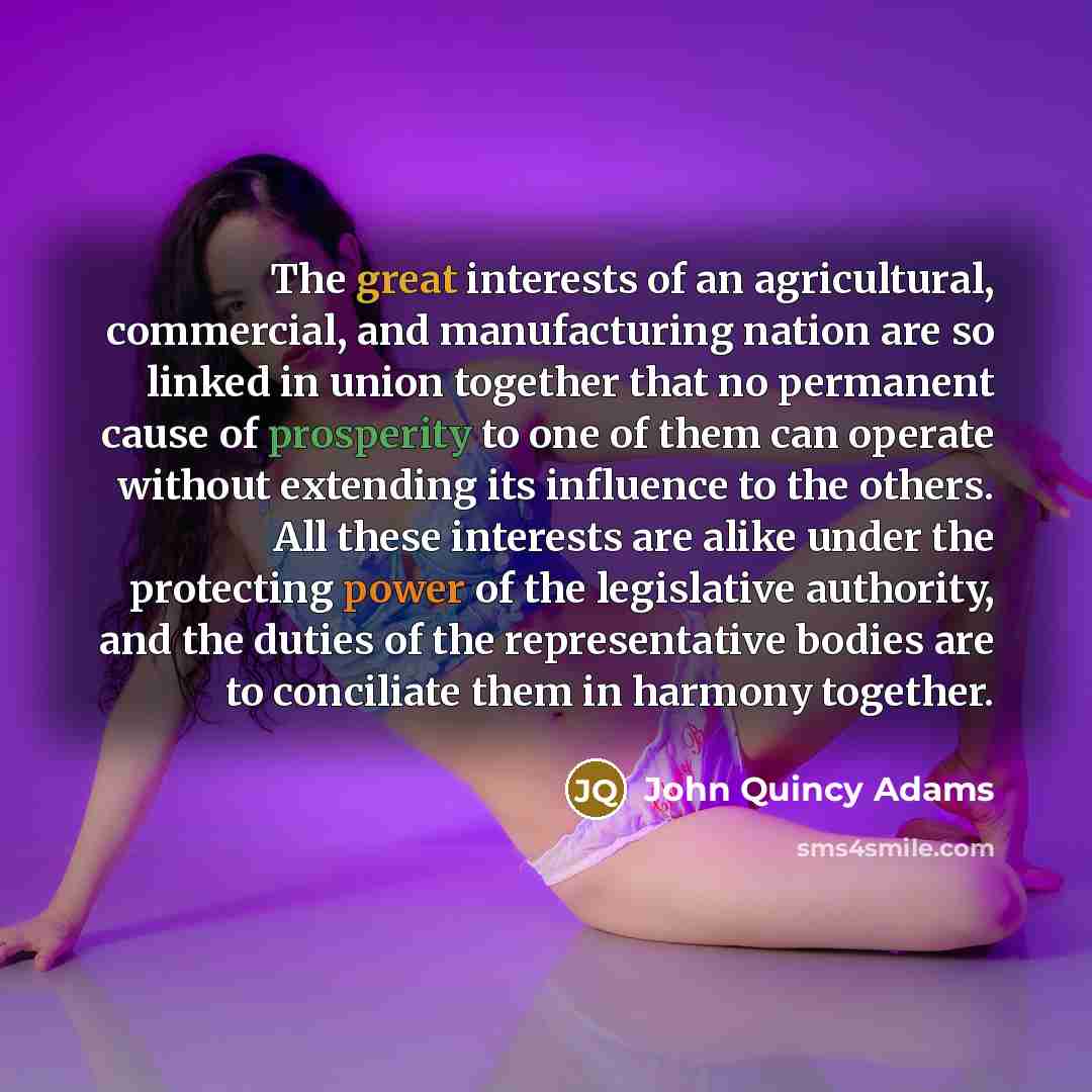 “The great interests of an agricultural, commercial, and manufacturing nation…” quote by John Quincy Adams