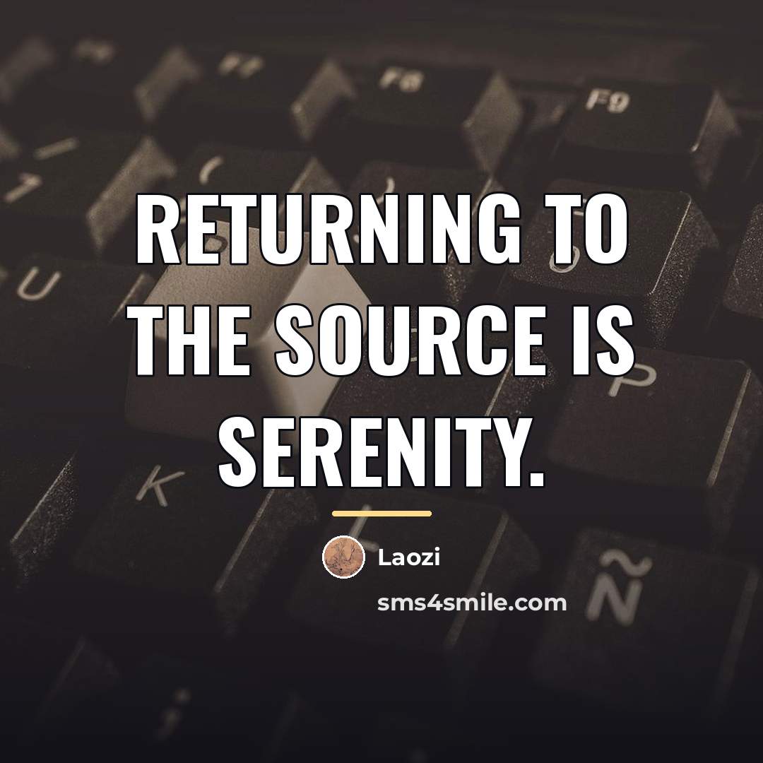 “Returning to the source is serenity.…” quote by Laozi