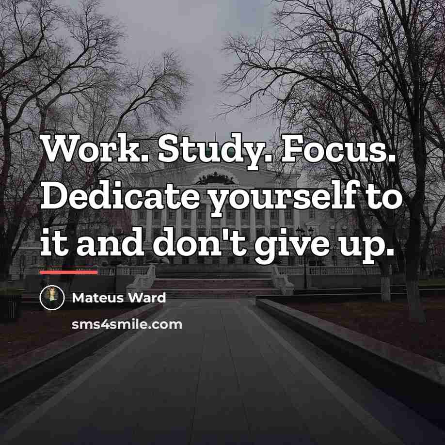 “Work. Study. Focus. Dedicate yourself to it and don't give…” quote by Mateus Ward