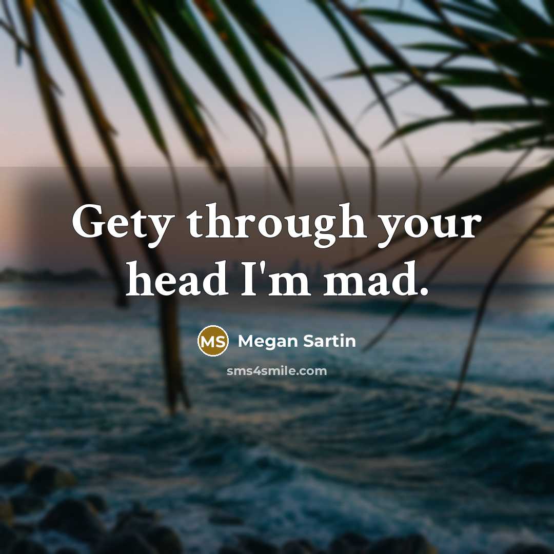 “Gety through your head I'm mad.” quote by Megan Sartin