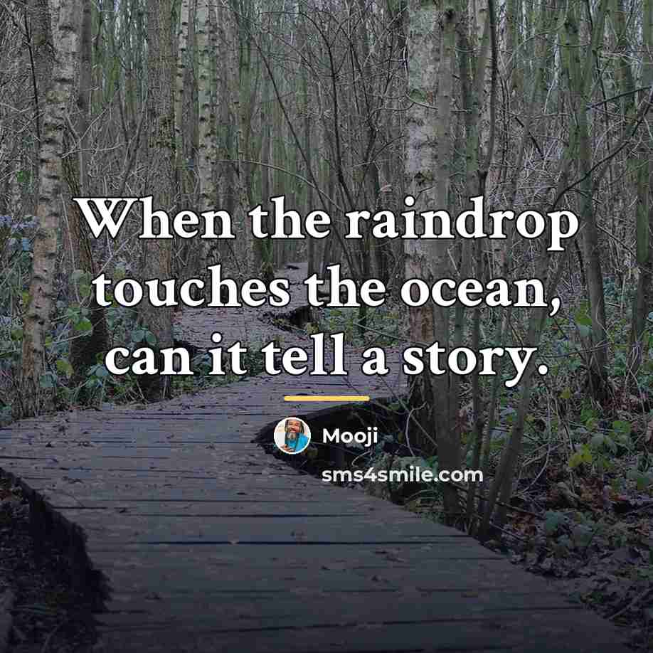 “When the raindrop touches the ocean, can it tell a…” quote by Mooji