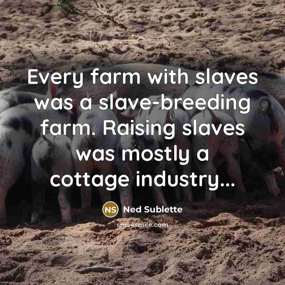“Every farm with slaves was a slave-breeding farm. Raising slaves…” quote by Ned Sublette