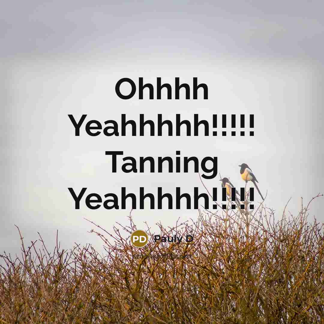 “Ohhhh Yeahhhhh!!!!! Tanning Yeahhhhh!!!!!…” quote by Pauly D