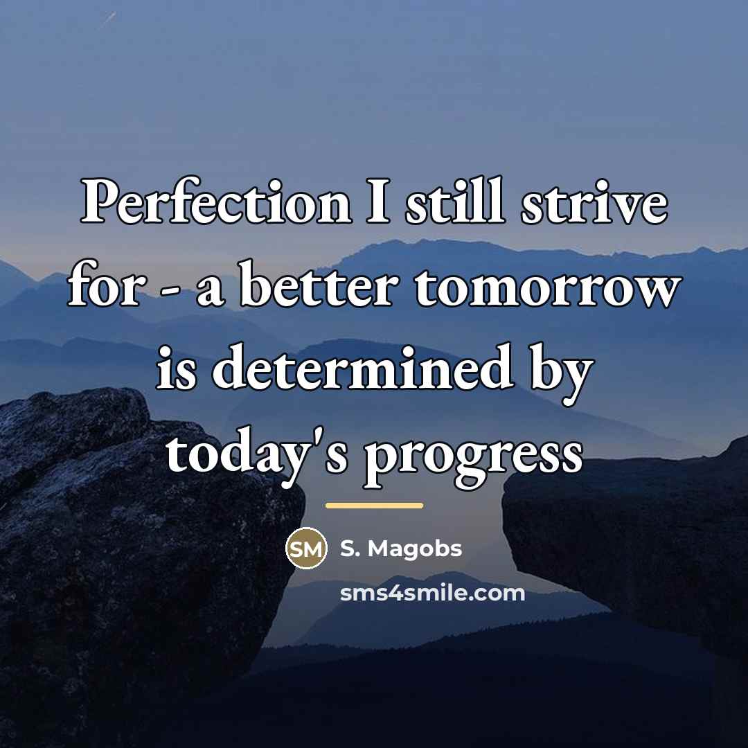 “Perfection I still strive for - a better tomorrow is…” quote by S. Magobs