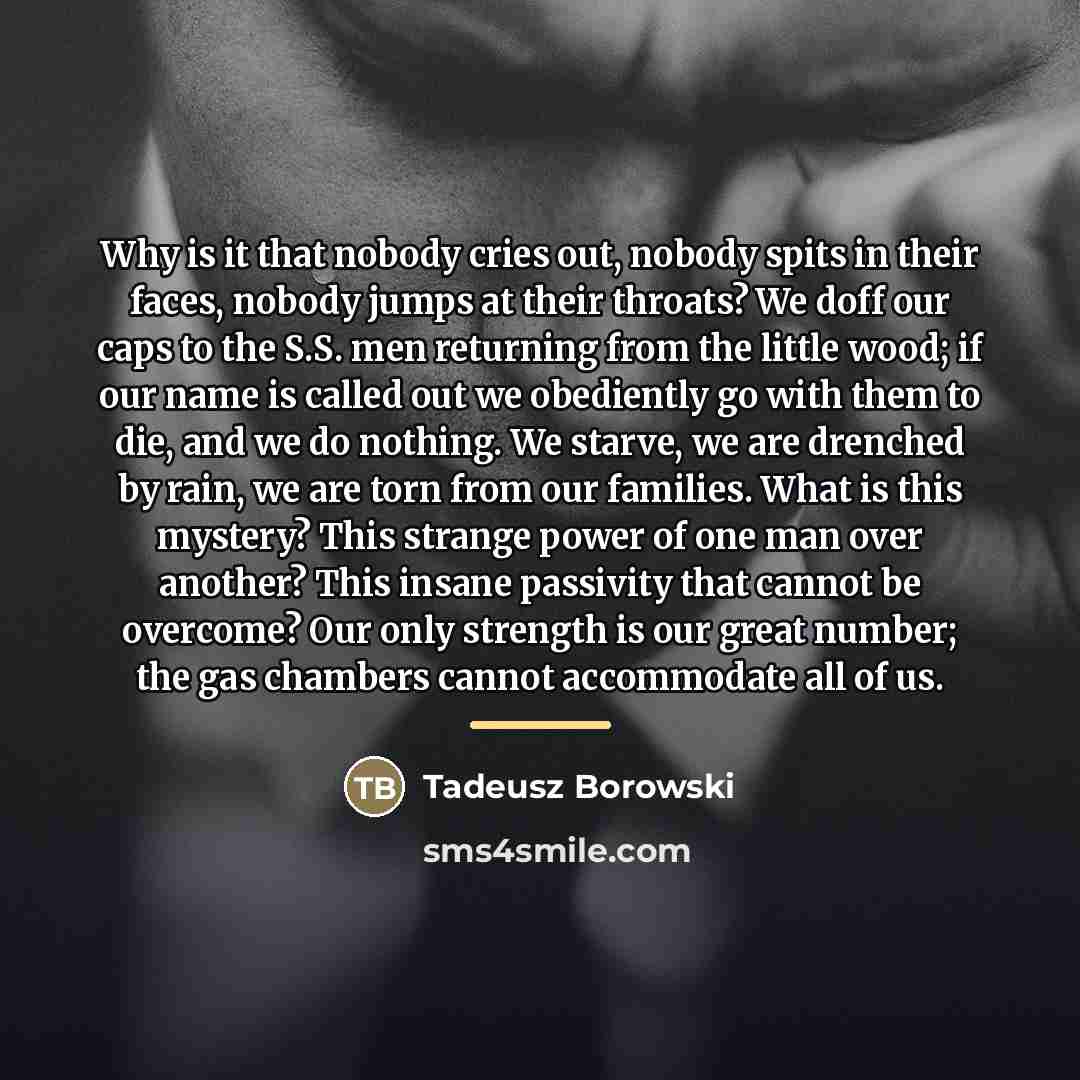 “Why is it that nobody cries out, nobody spits in…” quote by Tadeusz Borowski