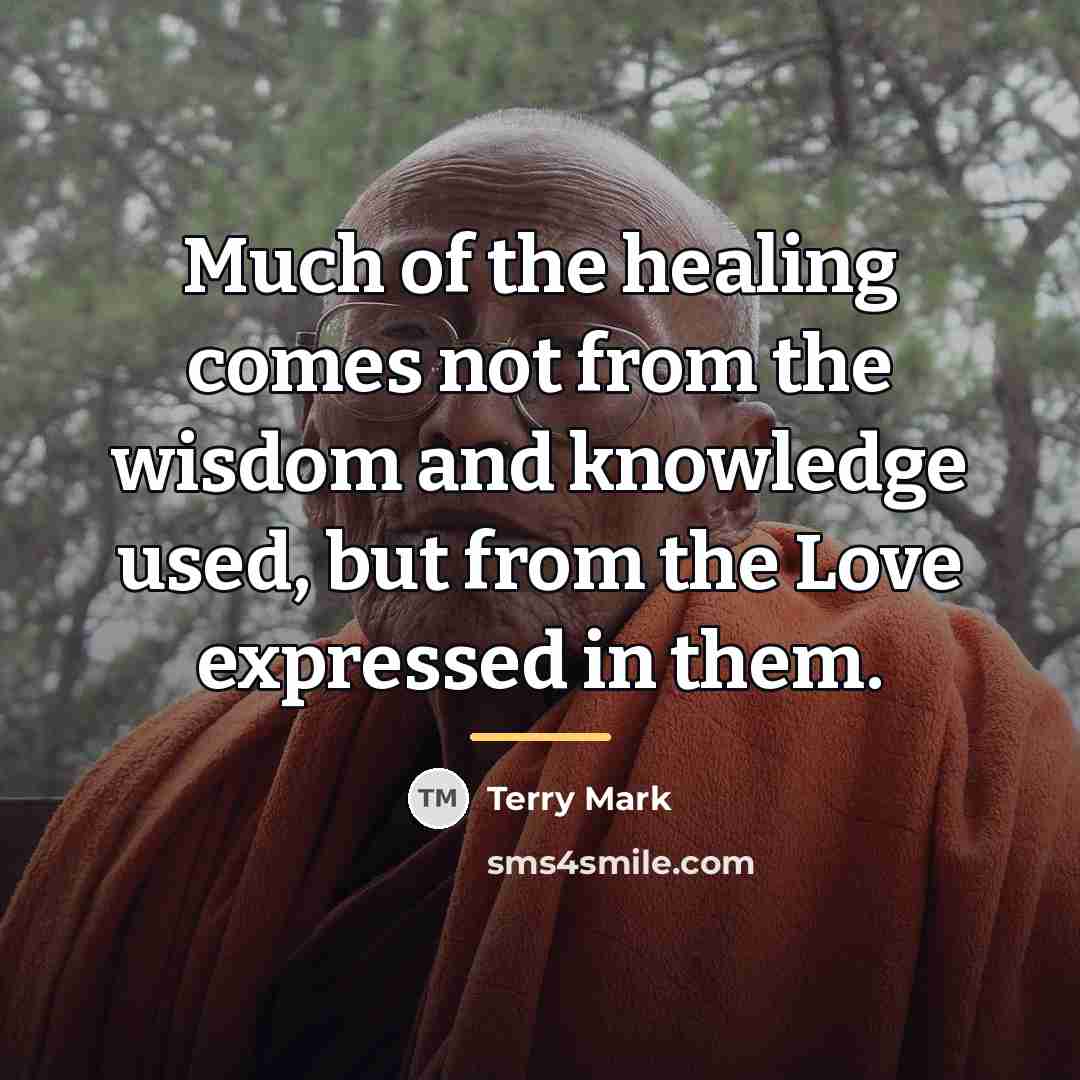 “Much of the healing comes not from the wisdom and…” quote by Terry Mark