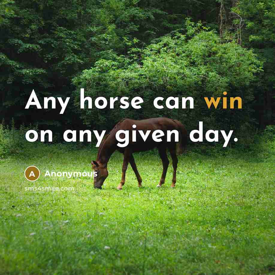 “Any horse can win on any given day.” quote by Anonymous