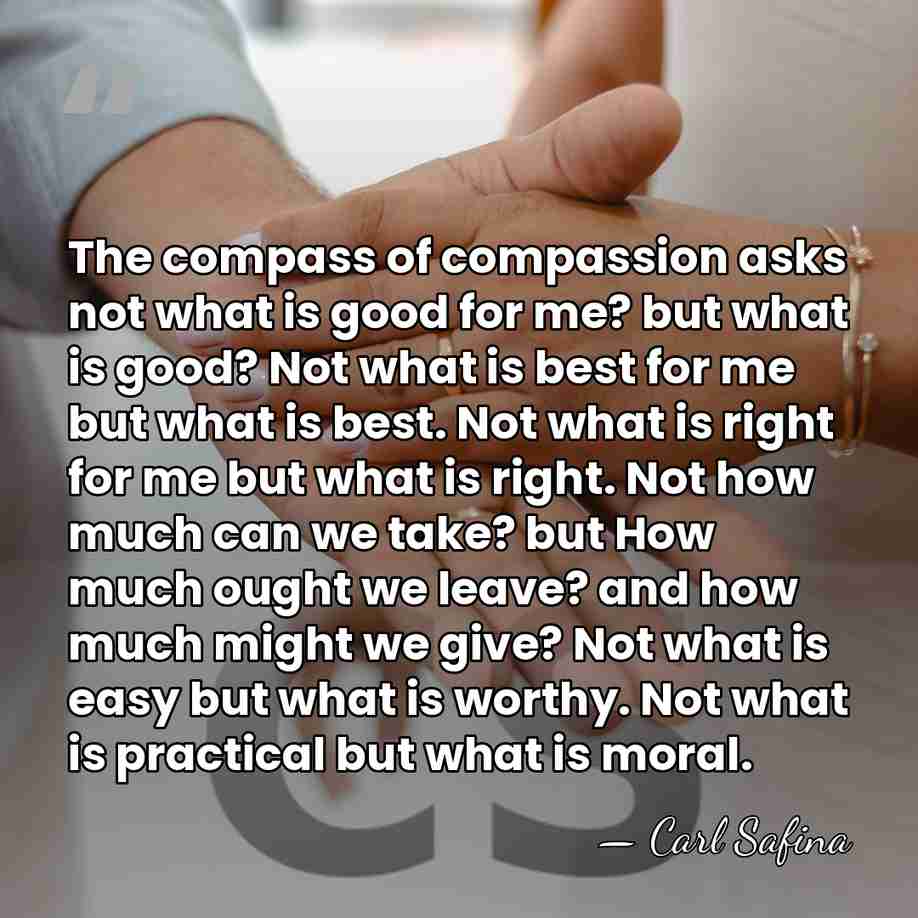 The compass of compassion asks not what is good for me? but&hellip; - Carl Safina