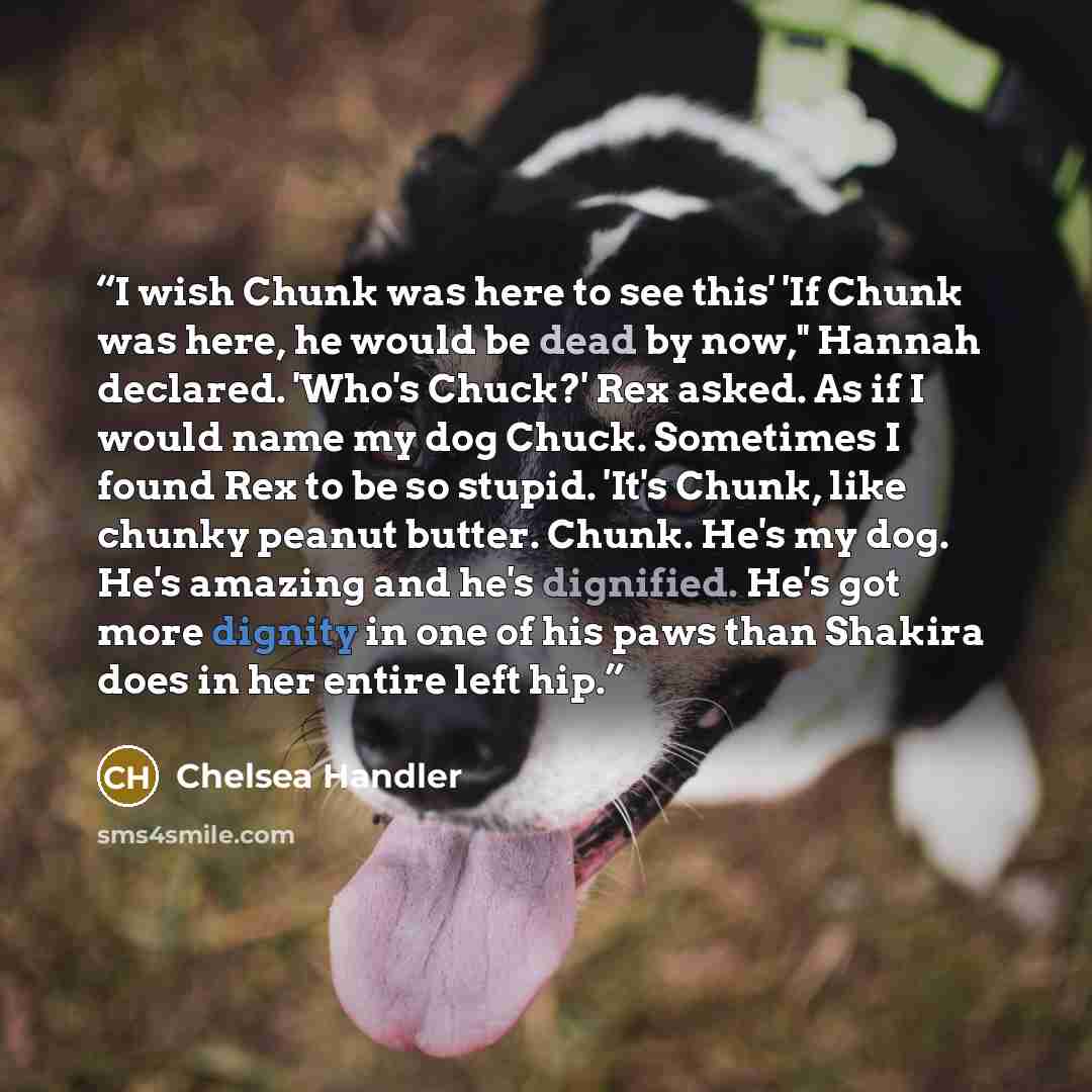 “I wish Chunk was here to see this' 'If Chunk was here, he would be dead by now," Hannah declared. 'Who's Chuck?' Rex asked. As if I would name my dog Chuck. Sometimes I found Rex to be so stupid. 'It's Chunk, like chunky peanut butter. Chunk. He's my dog. He's amazing and he's dignified. He's got…” quote by Chelsea Handler
