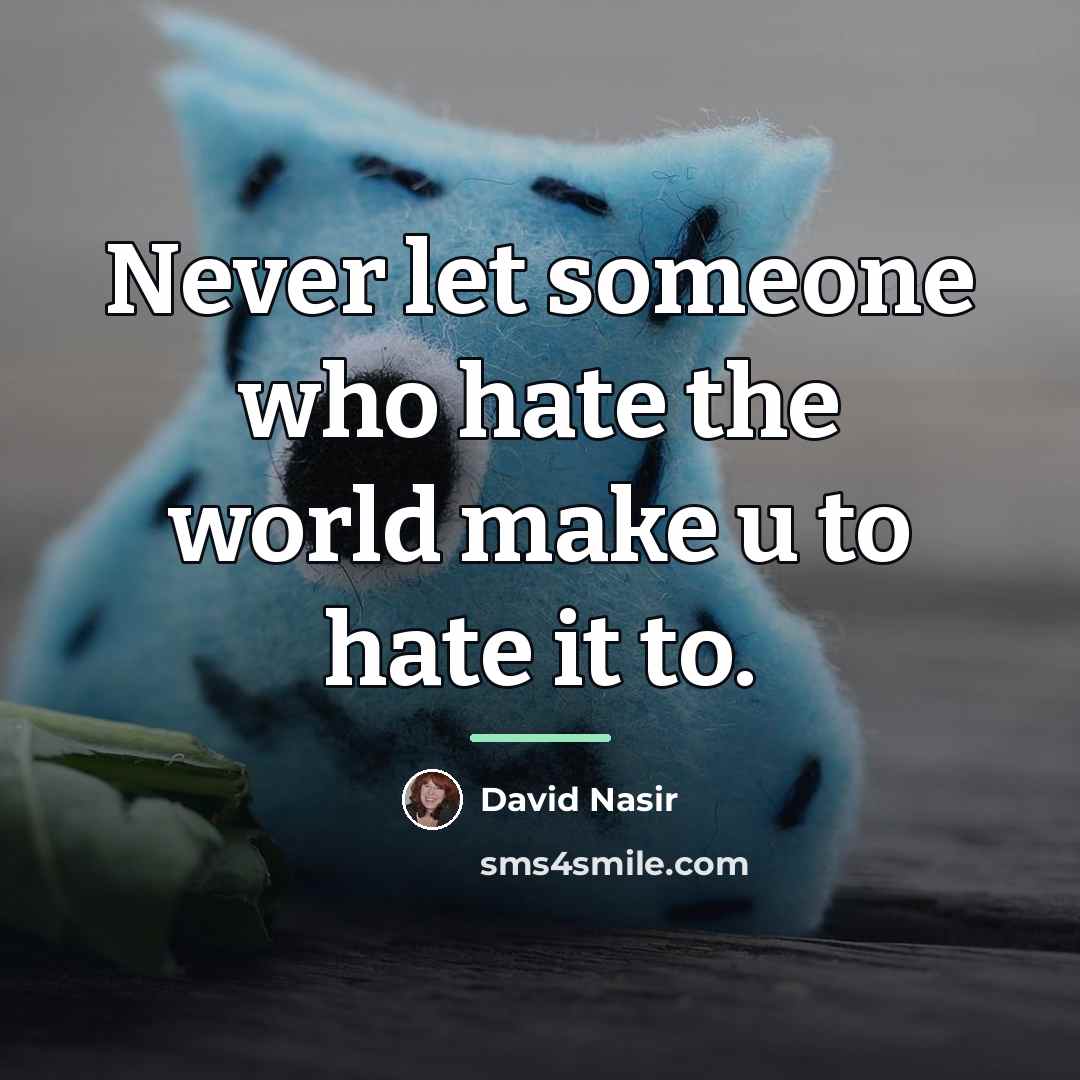“Never let someone who hate the world make u to…” quote by David Nasir