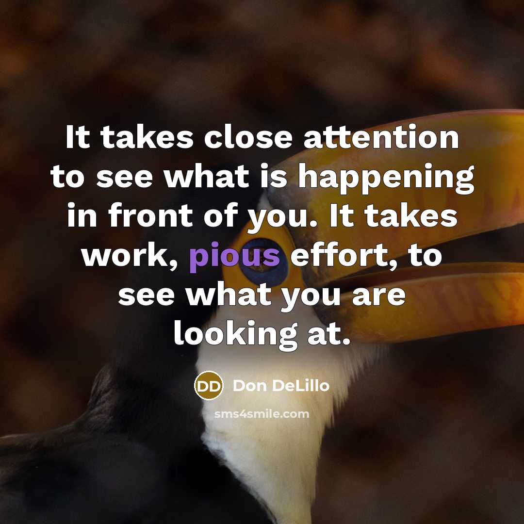 “It takes close attention to see what is happening in…” quote by Don DeLillo