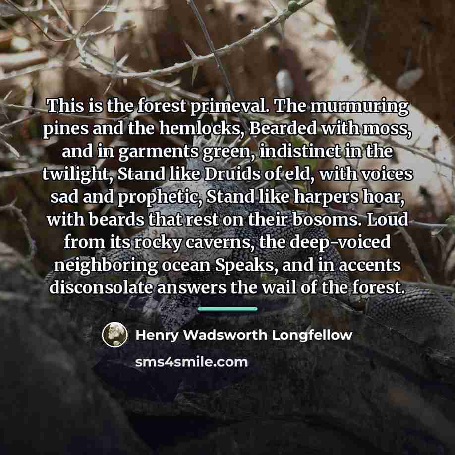 “This is the forest primeval. The murmuring pines and the…” quote by Henry Wadsworth Longfellow