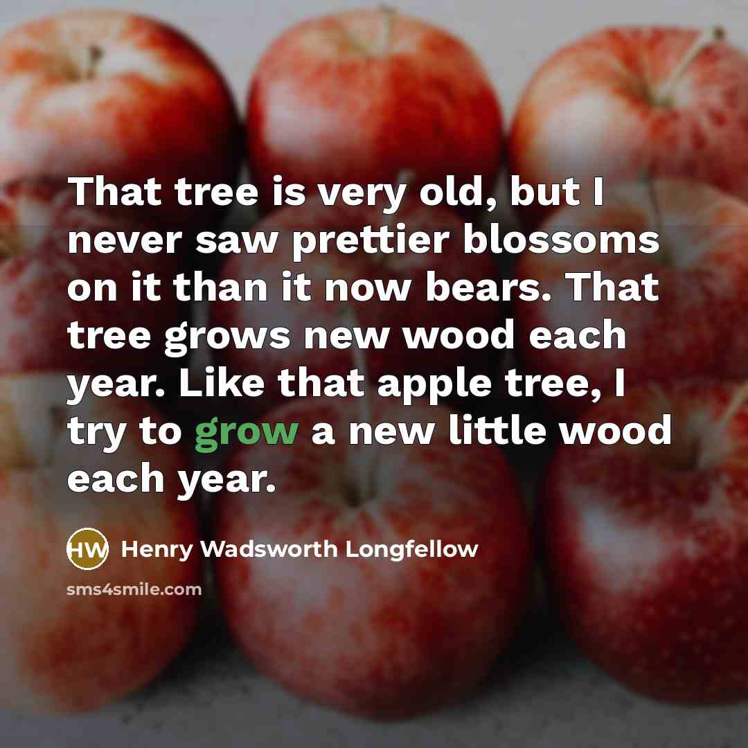 “That tree is very old, but I never saw prettier…” quote by Henry Wadsworth Longfellow