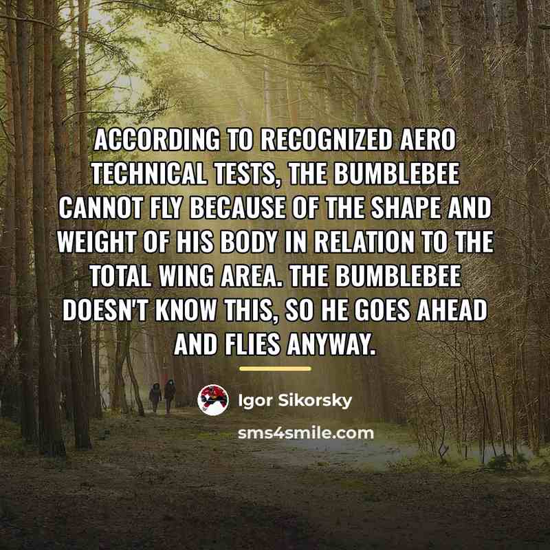 “According to recognized aero technical tests, the bumblebee cannot fly…” quote by Igor Sikorsky