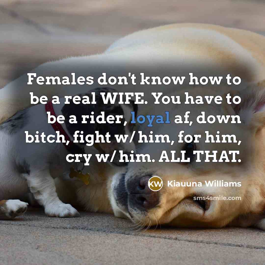 “Females don't know how to be a real WIFE. You…” quote by Kiauuna Williams