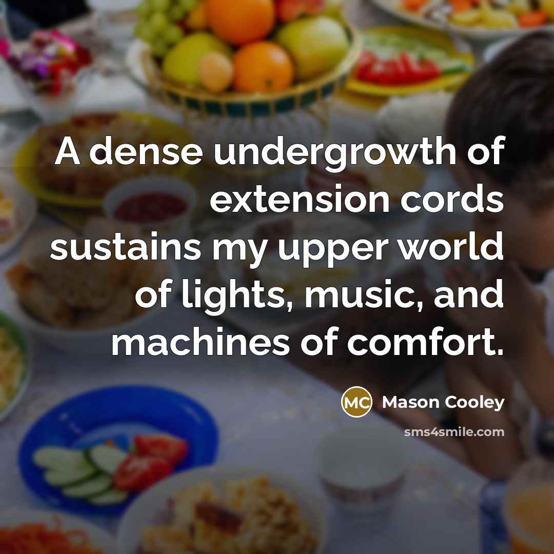 “A dense undergrowth of extension cords sustains my upper world…” quote by Mason Cooley