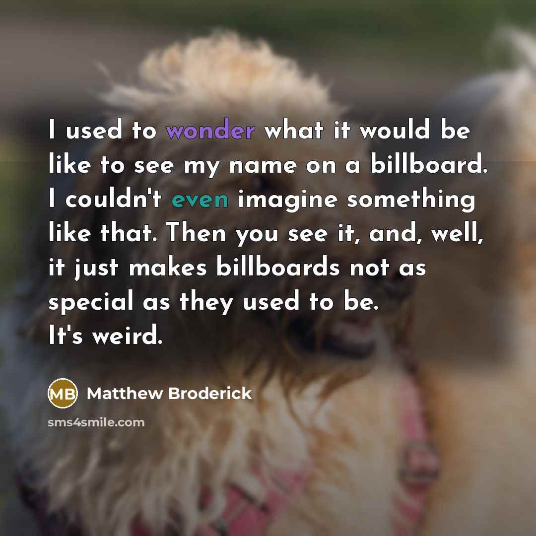 “I used to wonder what it would be like to…” quote by Matthew Broderick
