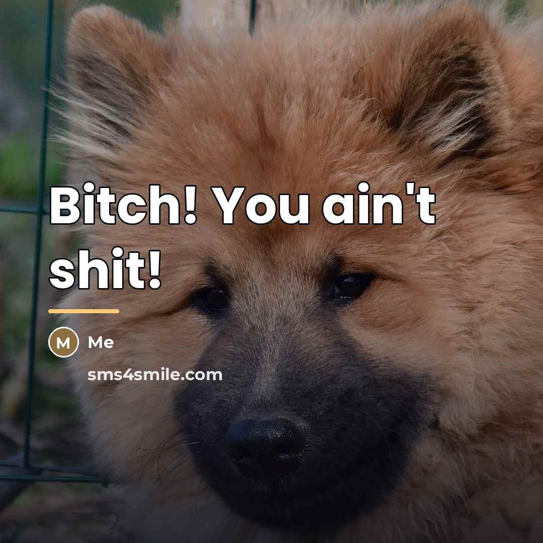“Bitch! You ain't shit!…” quote by Me