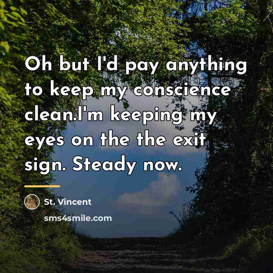 “Oh but I'd pay anything to keep my conscience clean.I'm…” quote by St. Vincent