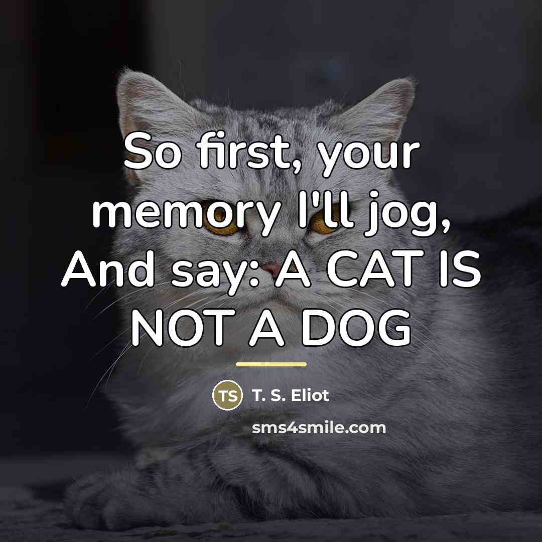 “So first, your memory I'll jog, And say: A CAT…” quote by T. S. Eliot