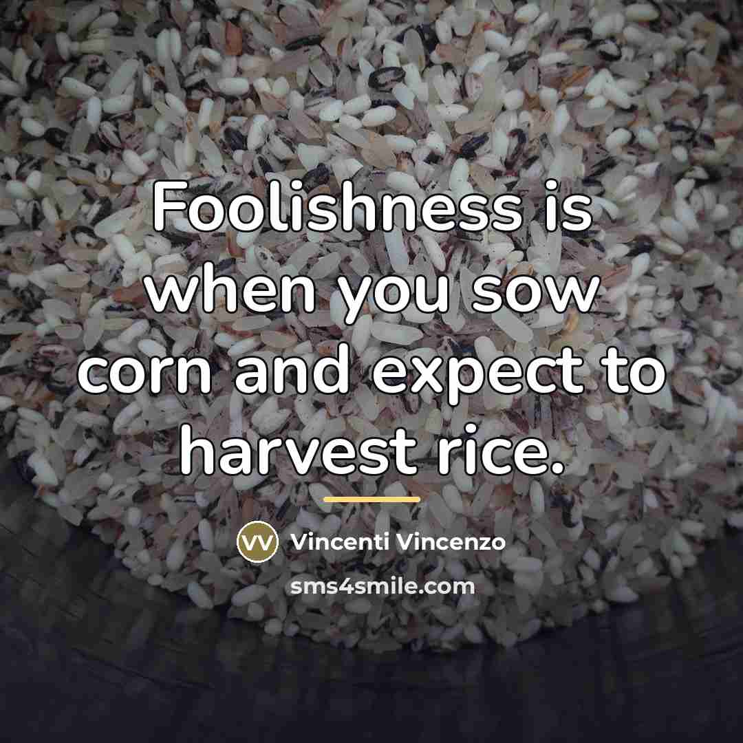 “Foolishness is when you sow corn and expect to harvest…” quote by Vincenti Vincenzo