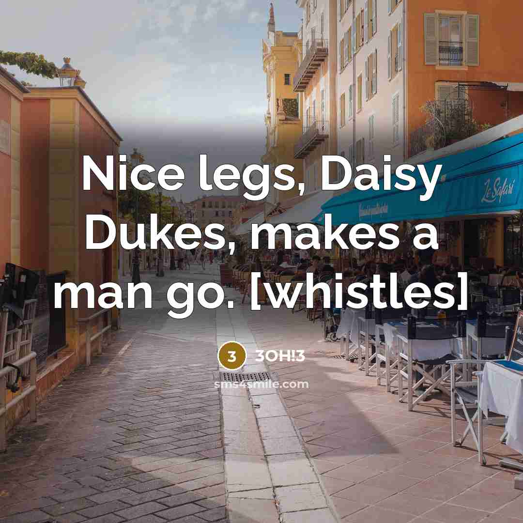 “Nice legs, Daisy Dukes, makes a man go. [whistles]…” quote by 3OH!3
