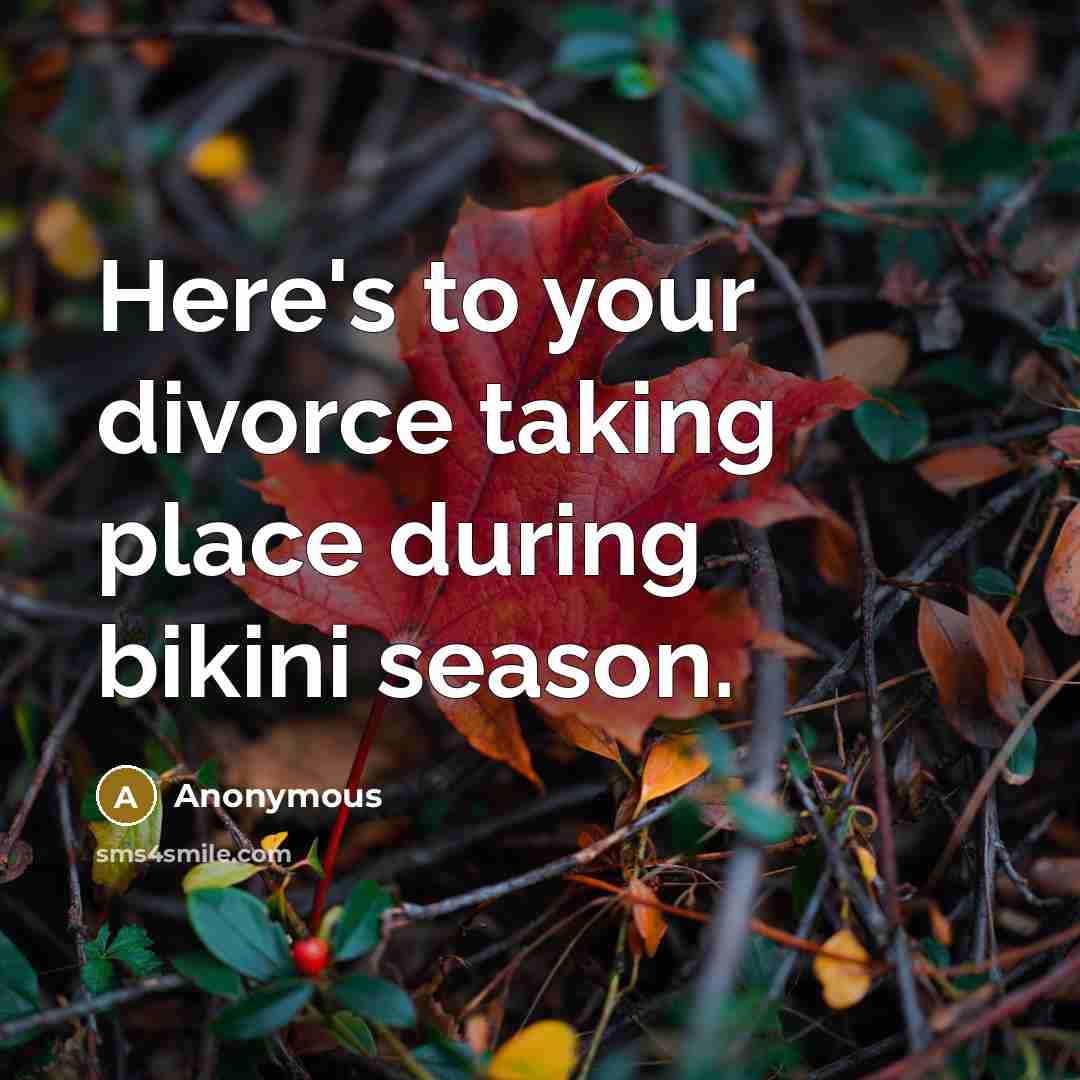 “Here's to your divorce taking place during bikini season.” quote by Anonymous