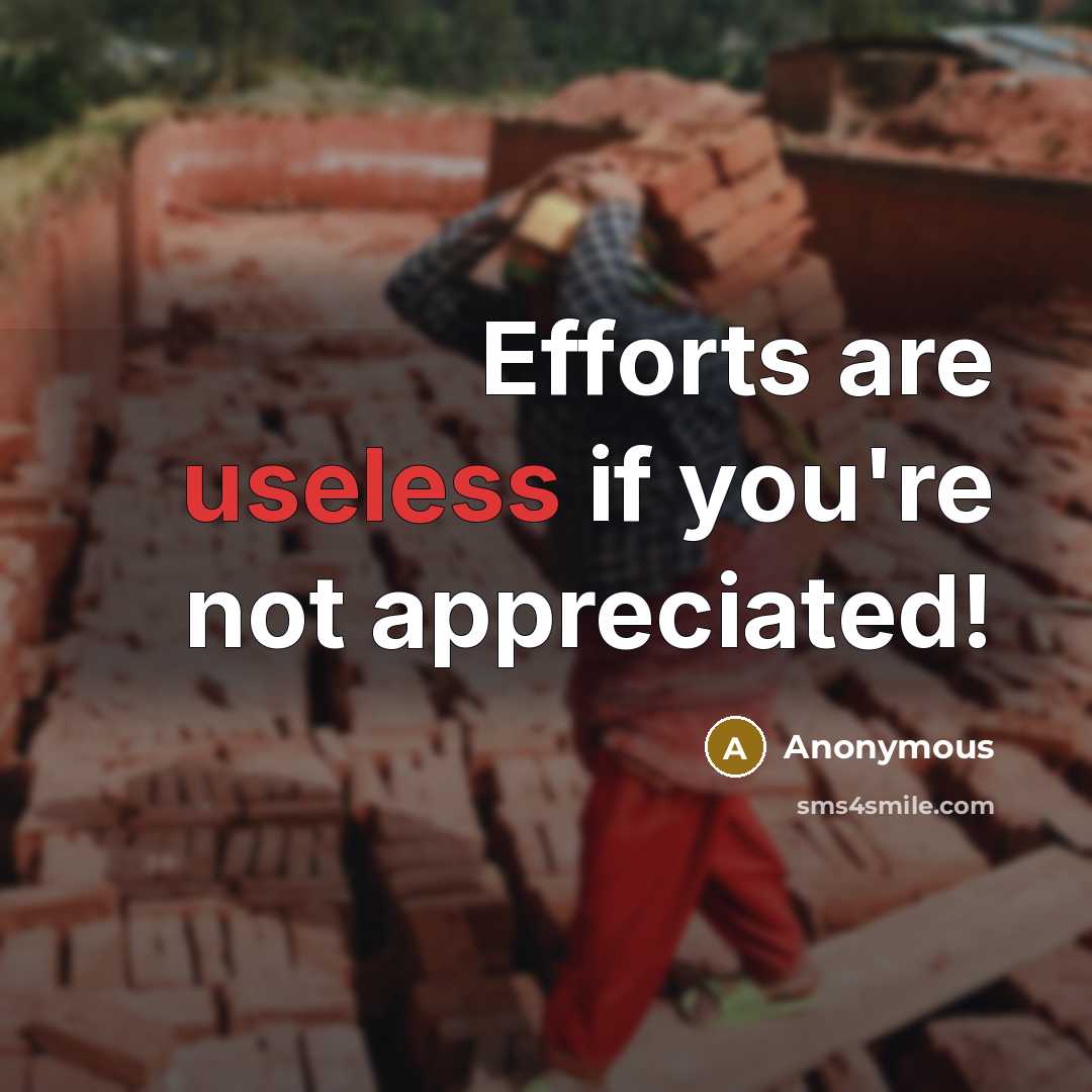“Efforts are useless if you're not appreciated!…” quote by Anonymous