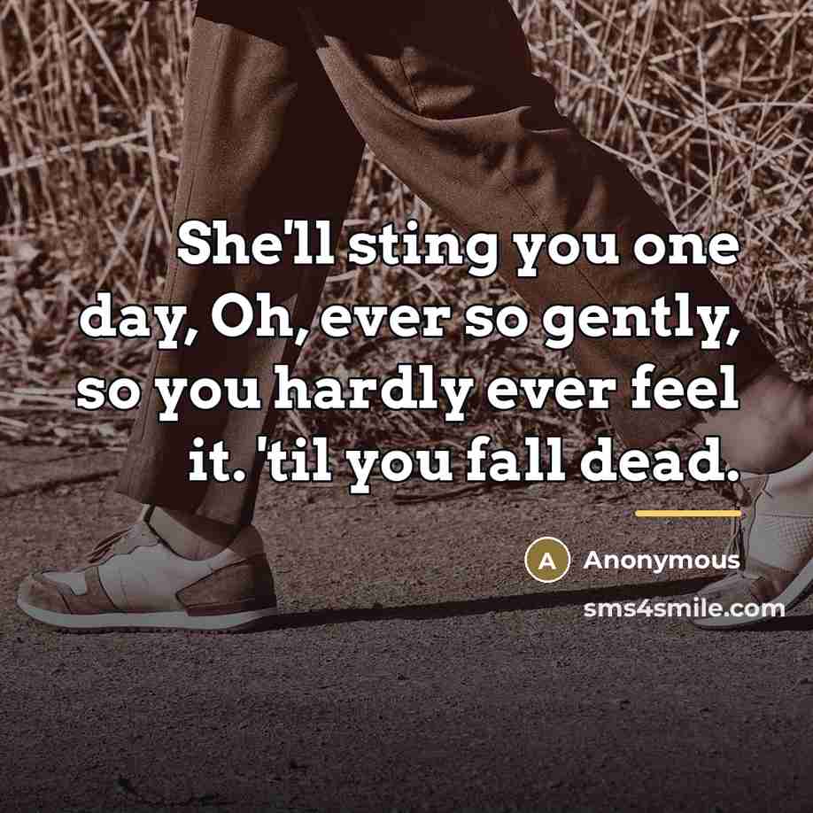 “She'll sting you one day, Oh, ever so gently, so…” quote by Anonymous