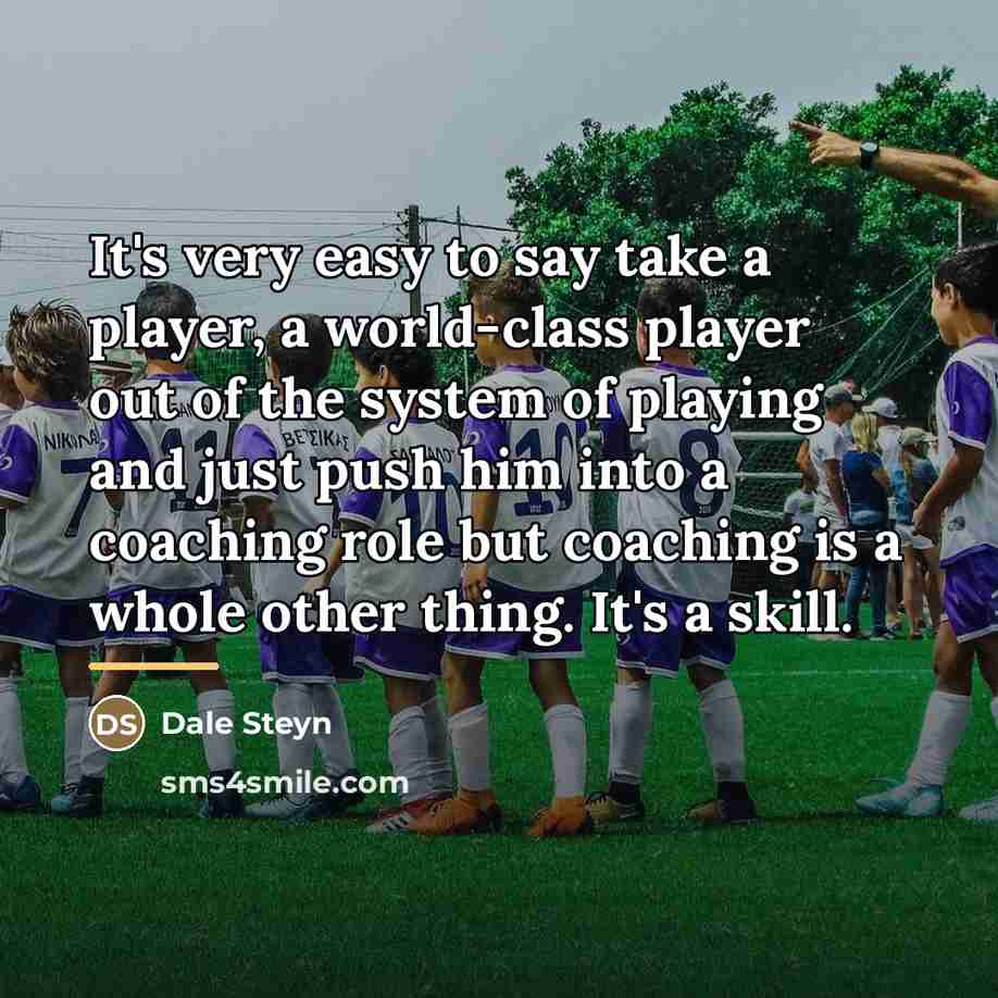 “It's very easy to say take a player, a world-class…” quote by Dale Steyn