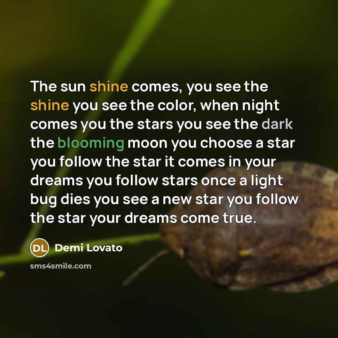 “The sun shine comes, you see the shine you see…” quote by Demi Lovato
