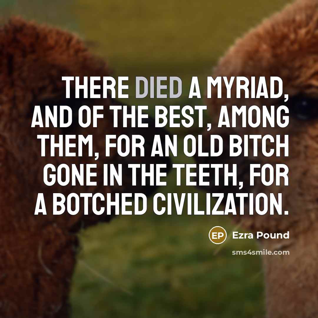 “There died a myriad, And of the best, among them,…” quote by Ezra Pound