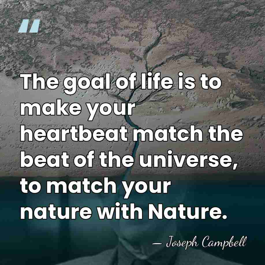 The goal of life is to make your heartbeat match the beat&hellip; - Joseph Campbell