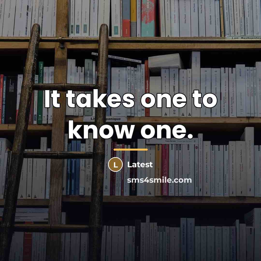“It takes one to know one.…” quote by Latest
