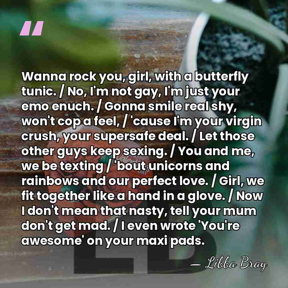 Wanna rock you, girl, with a butterfly tunic. / No, I'm not&hellip; - Libba Bray