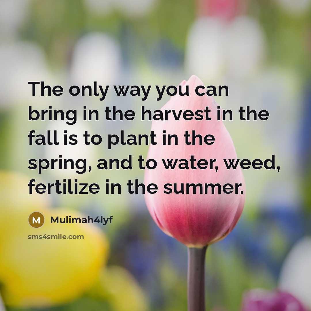 “The only way you can bring in the harvest in…” quote by Mulimah4lyf