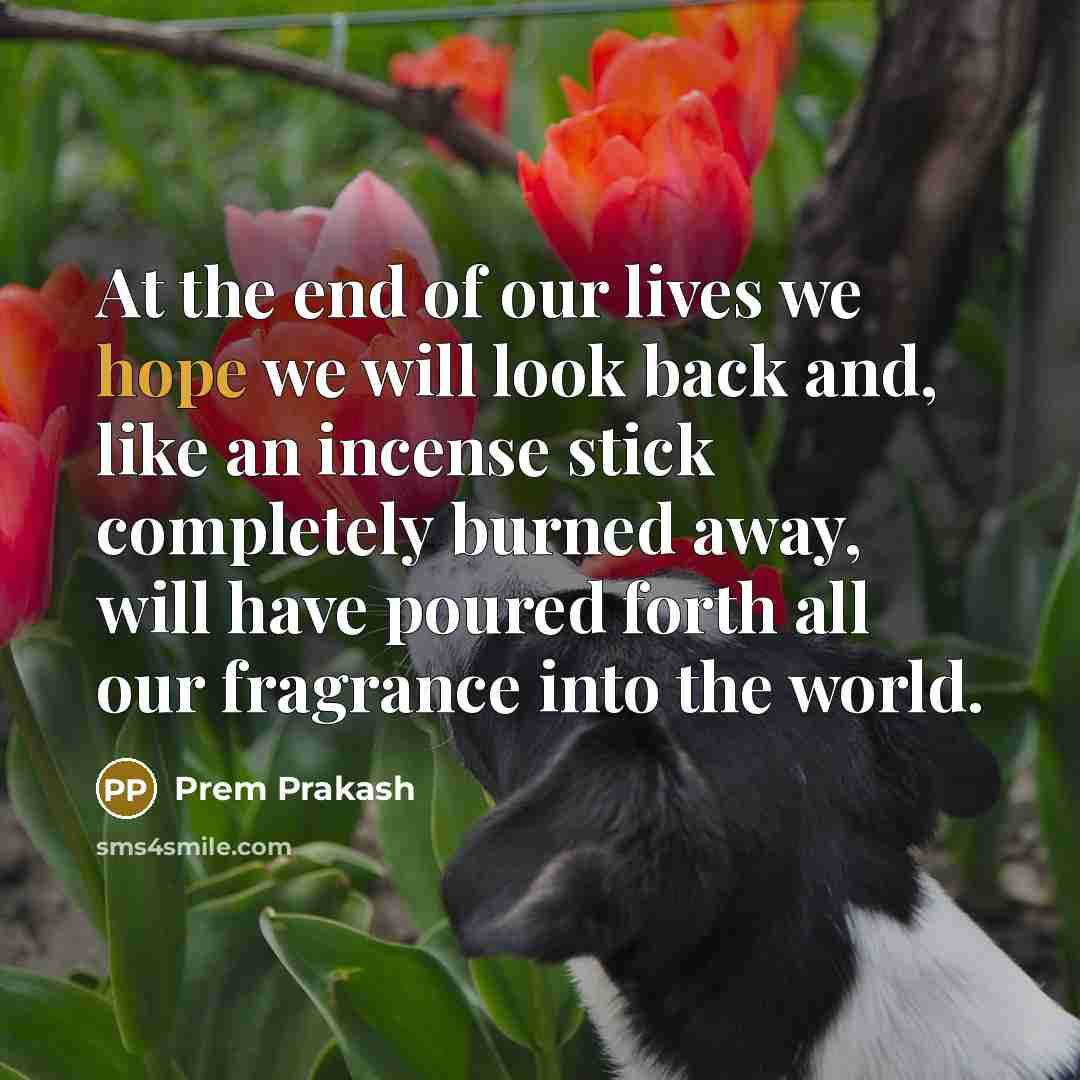 “At the end of our lives we hope we will…” quote by Prem Prakash