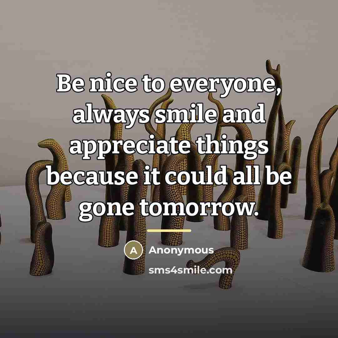 “Be nice to everyone, always smile and appreciate things because…” quote by Anonymous