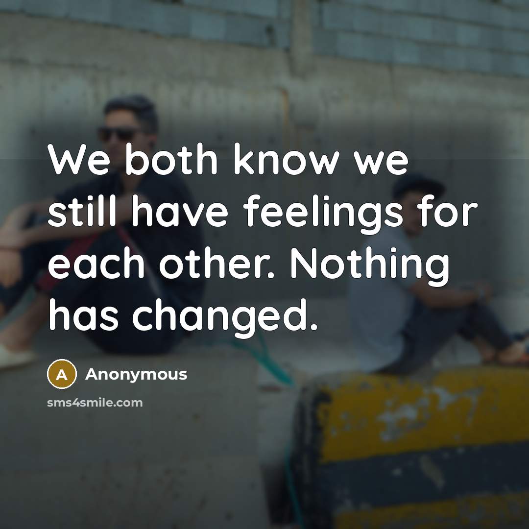 “We both know we still have feelings for each other. Nothing has changed.” quote by Anonymous
