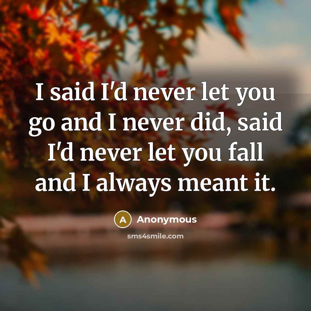 “I said I'd never let you go and I never…” quote by Anonymous