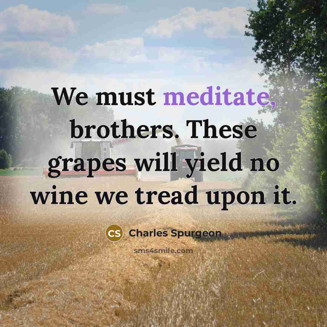 “We must meditate, brothers. These grapes will yield no wine…” quote by Charles Spurgeon