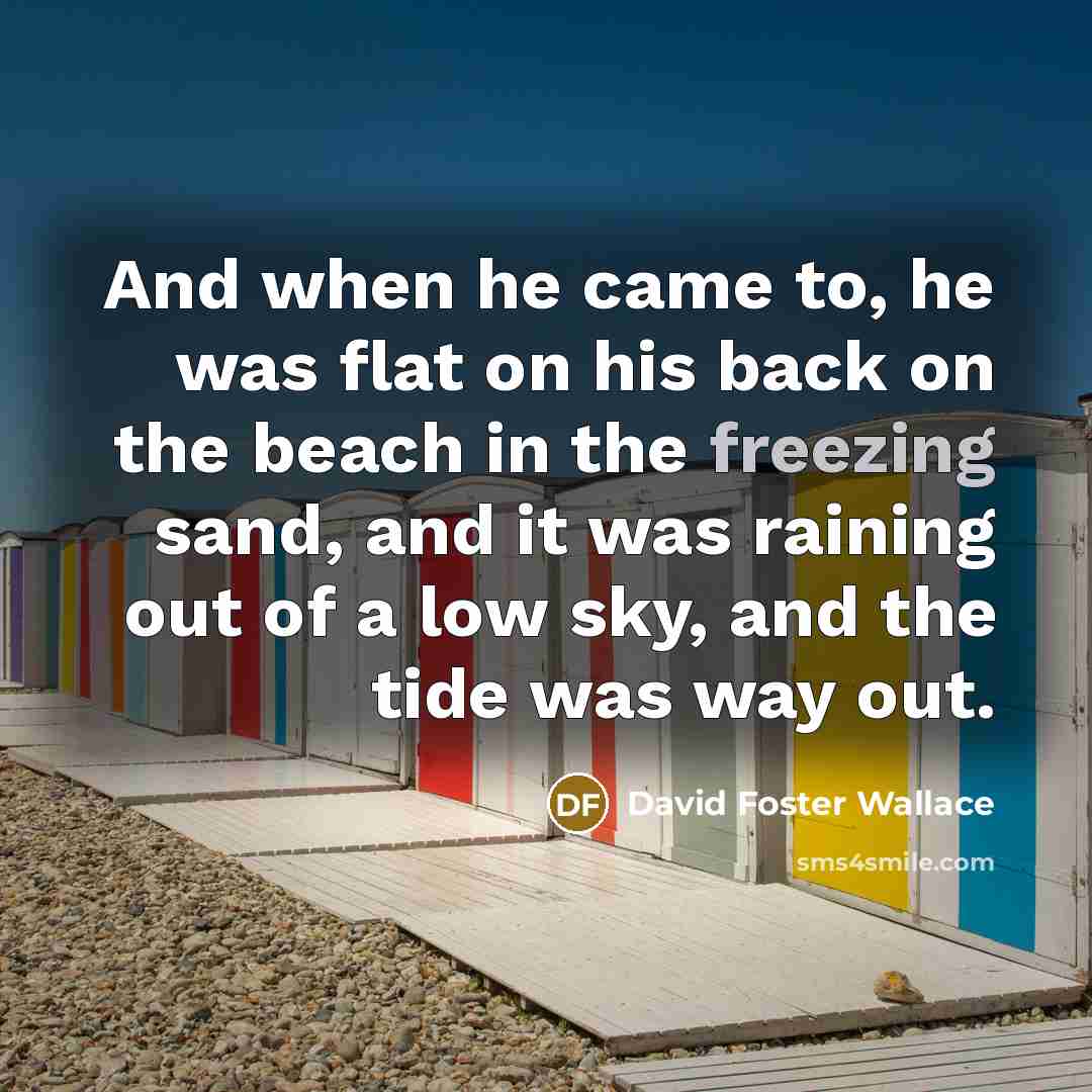 “And when he came to, he was flat on his…” quote by David Foster Wallace