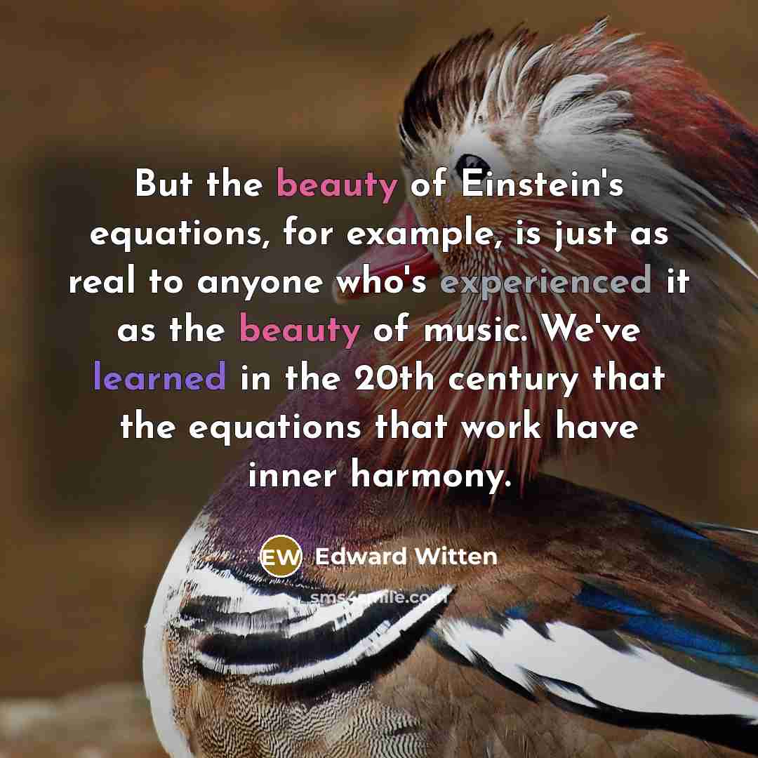 “But the beauty of Einstein's equations, for example, is just…” quote by Edward Witten
