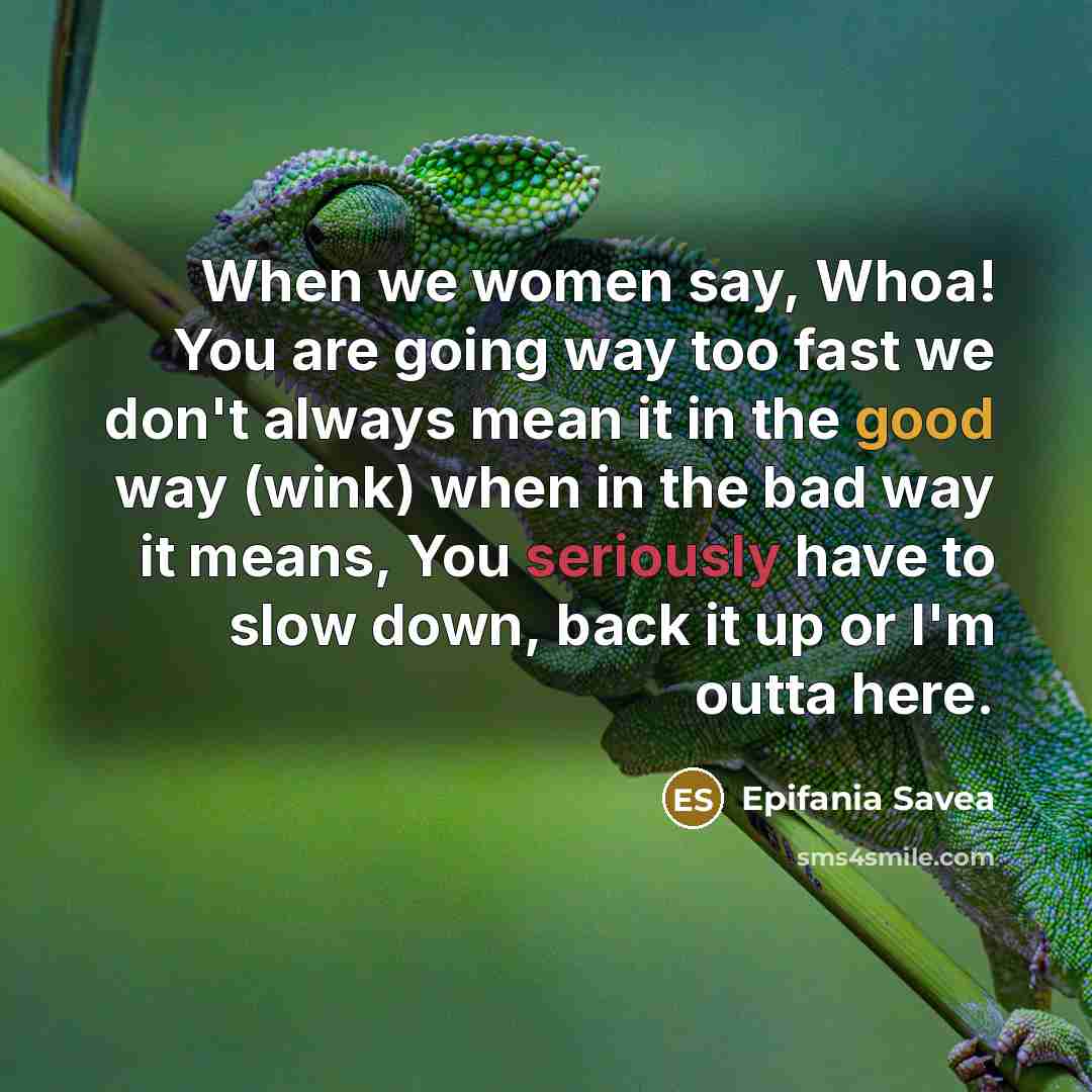 “When we women say, Whoa! You are going way too fast we don't always mean it in the good way (wink) when in the bad way it means, You seriously have to slow down, back it up or I'm outta here.” quote by Epifania Savea