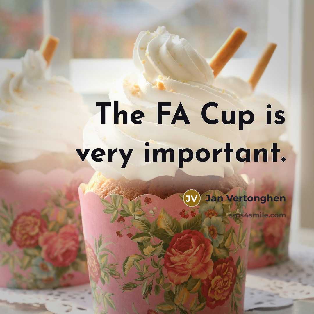 “The FA Cup is very important.…” quote by Jan Vertonghen