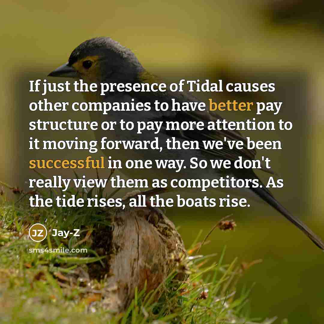 “If just the presence of Tidal causes other companies to…” quote by Jay-Z