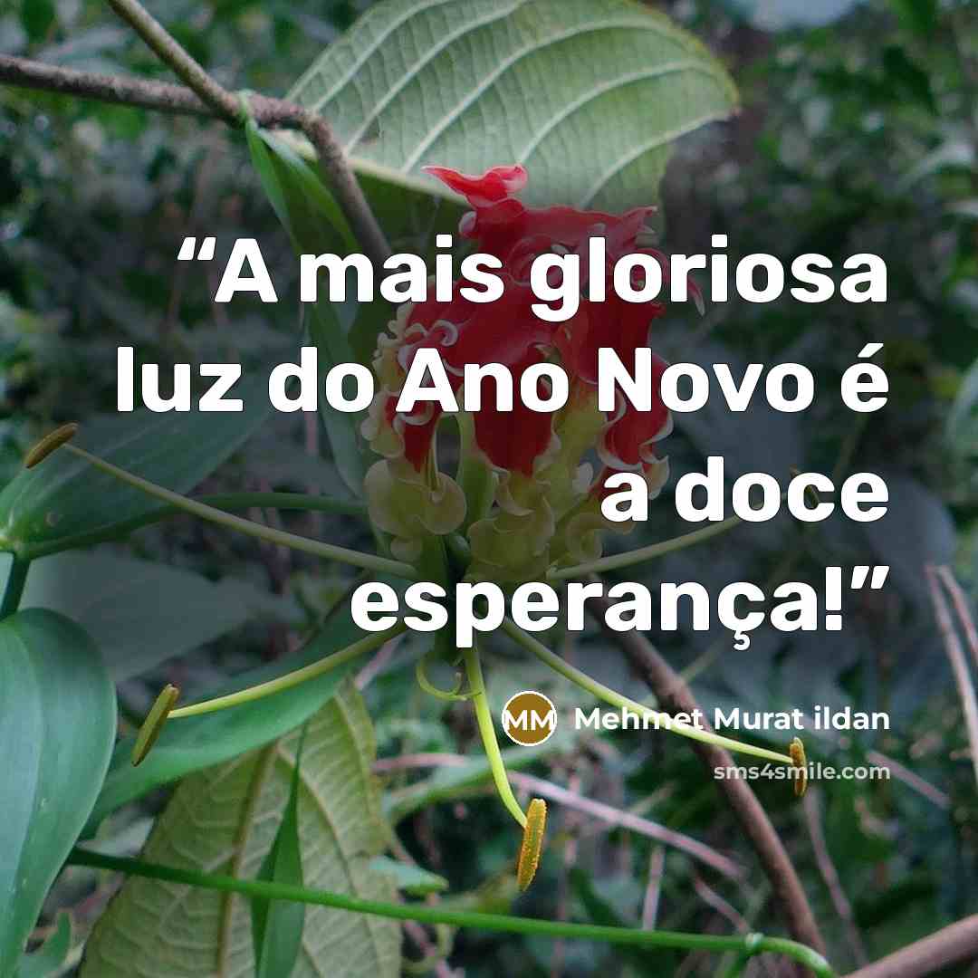 “A mais gloriosa luz do Ano Novo é a doce esperança!” quote by Mehmet Murat ildan