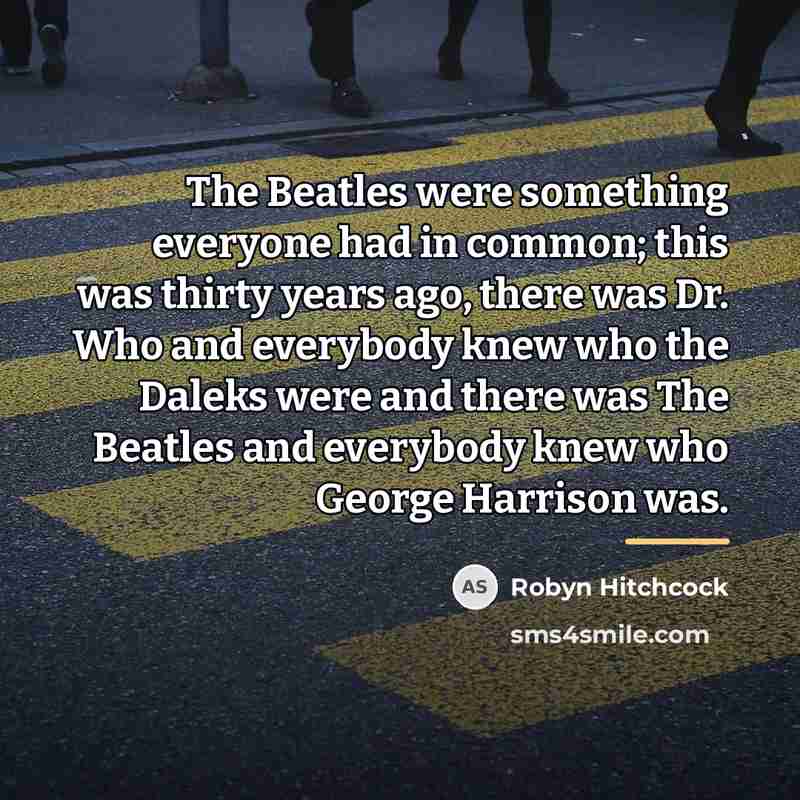 “The Beatles were something everyone had in common; this was…” quote by Robyn Hitchcock